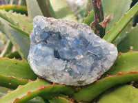 Natural Celestite Specimens x 3 From Sakoany, Madagascar