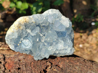 Natural Celestite Specimens x 3 From Sakoany, Madagascar