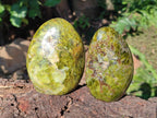 Polished Green Opal Standing Free Forms x 3 From Betroka, Madagascar - Toprock Gemstones and Minerals 