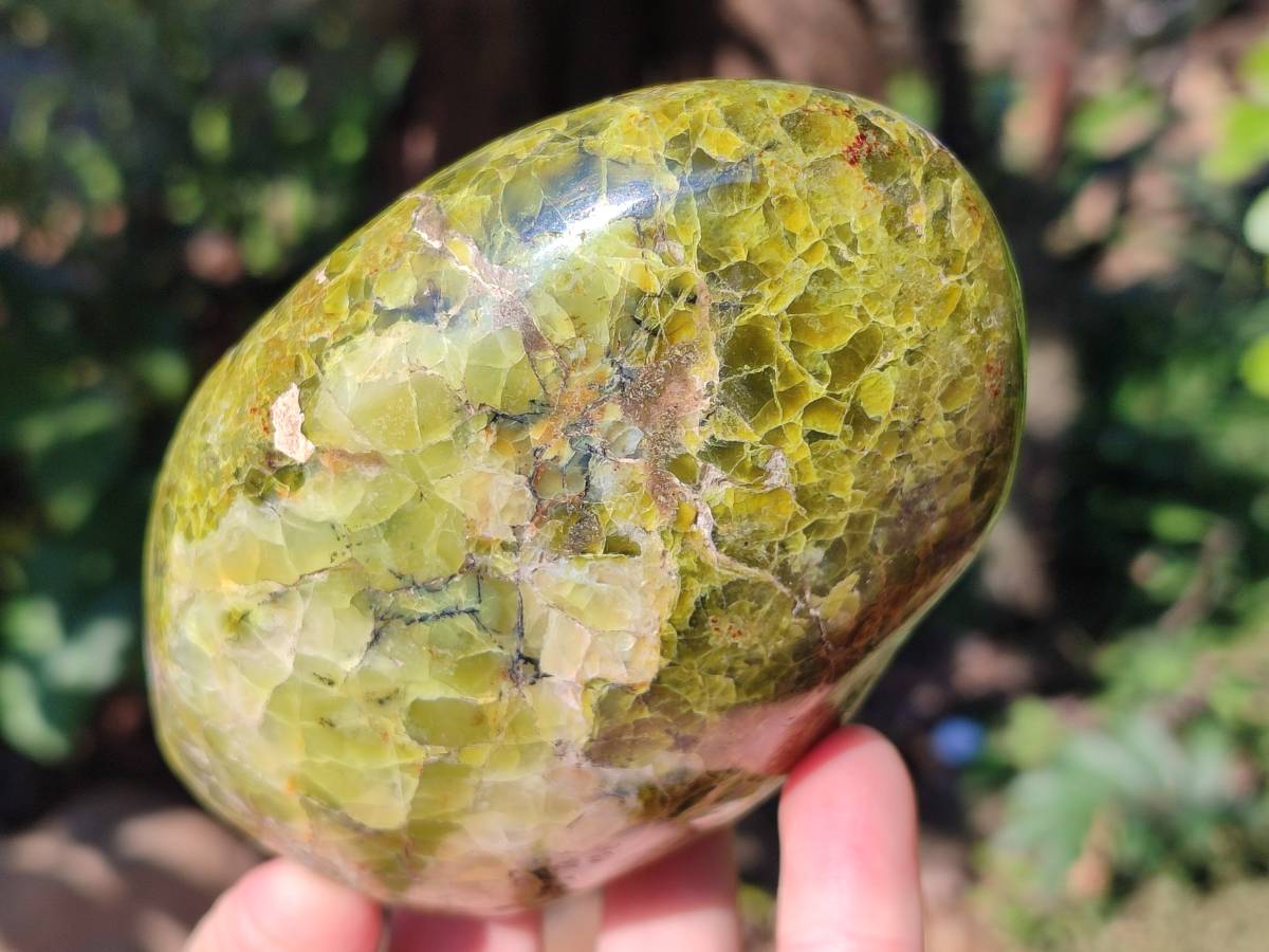 Polished Green Opal Standing Free Forms x 3 From Betroka, Madagascar - Toprock Gemstones and Minerals 