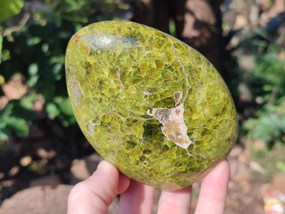 Polished Green Opal Standing Free Forms x 3 From Betroka, Madagascar - Toprock Gemstones and Minerals 