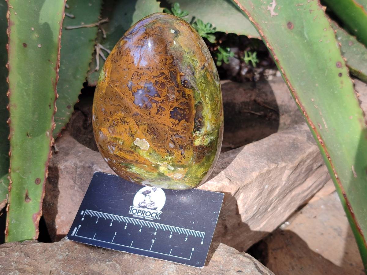 Polished Green Opal Standing Free Forms x 3 From Betroka, Madagascar - Toprock Gemstones and Minerals 