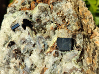 Natural Smokey Quartz Cluster x 1 From Erongo, Namibia