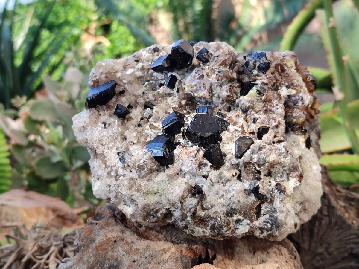 Natural Smokey Quartz Cluster x 1 From Erongo, Namibia - Toprock Gemstones and Minerals 
