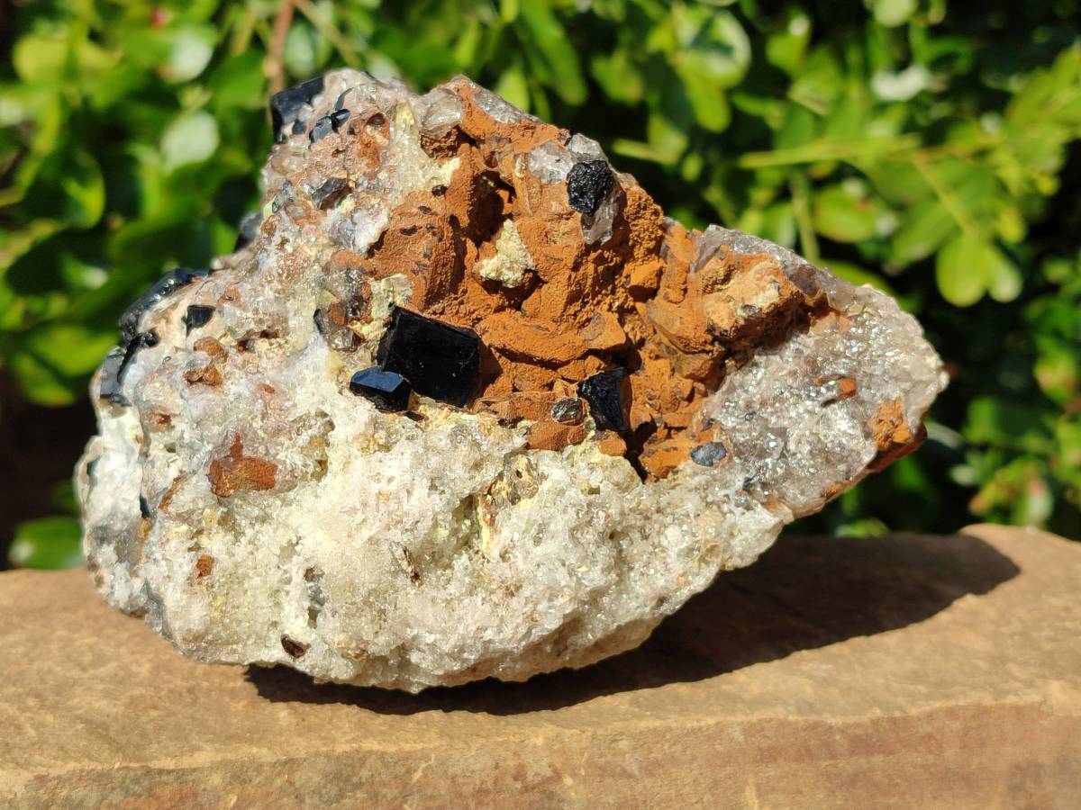 Natural Smokey Quartz Cluster x 1 From Erongo, Namibia - Toprock Gemstones and Minerals 