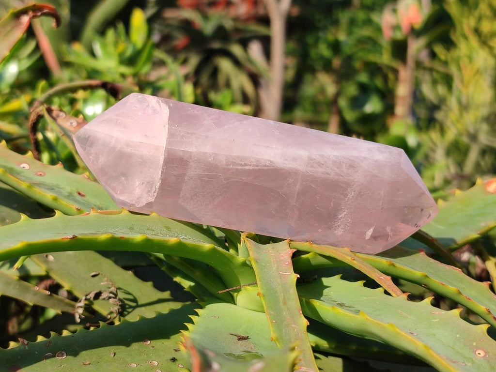 Polished Double Terminated Rose Quartz Points x 6 Madagascar - Toprock Gemstones and Minerals 