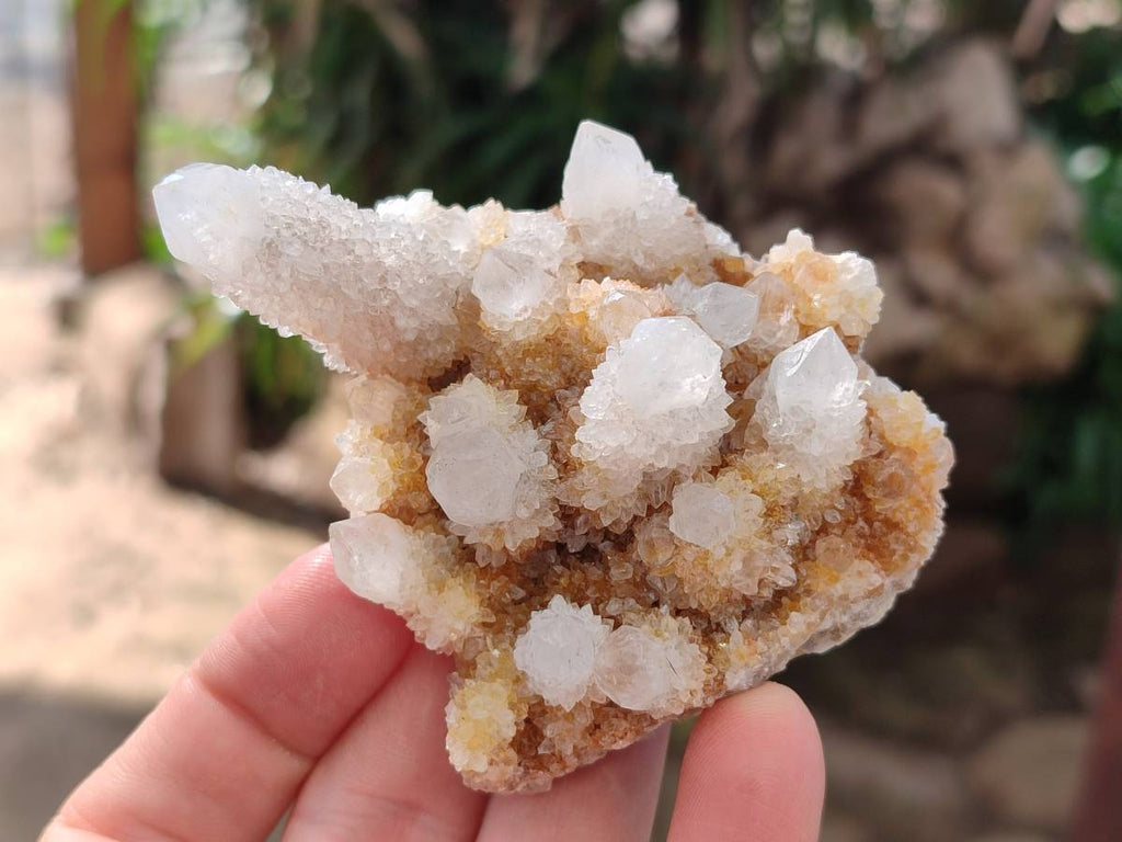 Natural Spirit Quartz Clusters x 12 From Boekenhouthoek, South Africa - Toprock Gemstones and Minerals 