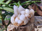 Natural Spirit Quartz Clusters x 12 From Boekenhouthoek, South Africa - Toprock Gemstones and Minerals 