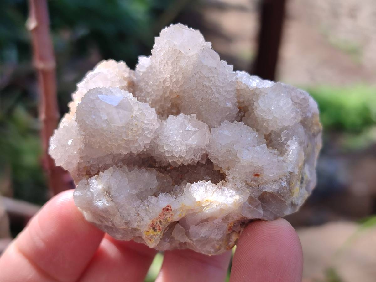 Natural Spirit Quartz Clusters x 12 From Boekenhouthoek, South Africa - Toprock Gemstones and Minerals 