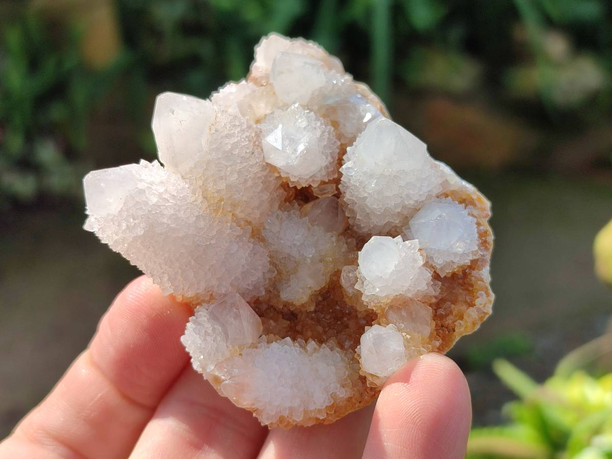Natural Spirit Quartz Clusters x 12 From Boekenhouthoek, South Africa - Toprock Gemstones and Minerals 