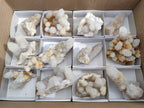 Natural Spirit Quartz Clusters x 12 From Boekenhouthoek, South Africa - Toprock Gemstones and Minerals 