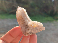 Natural Spirit Quartz Clusters x 12 From Boekenhouthoek, South Africa
