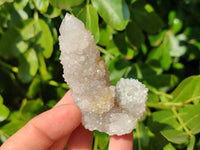 Natural Spirit Quartz Clusters x 12 From Boekenhouthoek, South Africa