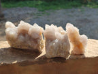 Natural Spirit Quartz Clusters x 12 From Boekenhouthoek, South Africa - Toprock Gemstones and Minerals 