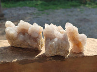 Natural Spirit Quartz Clusters x 12 From Boekenhouthoek, South Africa