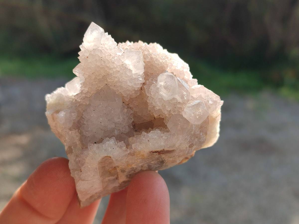 Natural Spirit Quartz Clusters x 12 From Boekenhouthoek, South Africa - Toprock Gemstones and Minerals 