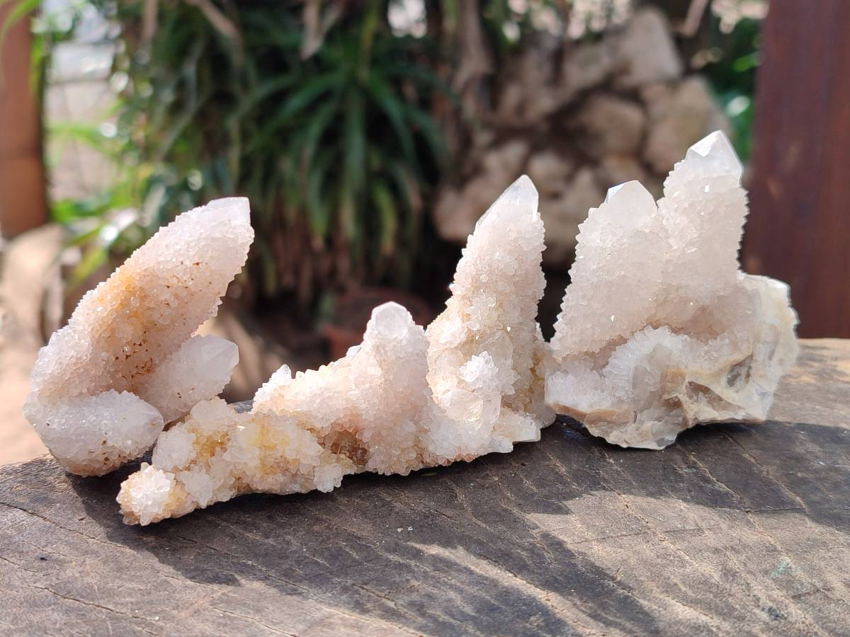 Natural Spirit Quartz Clusters x 12 From Boekenhouthoek, South Africa - Toprock Gemstones and Minerals 