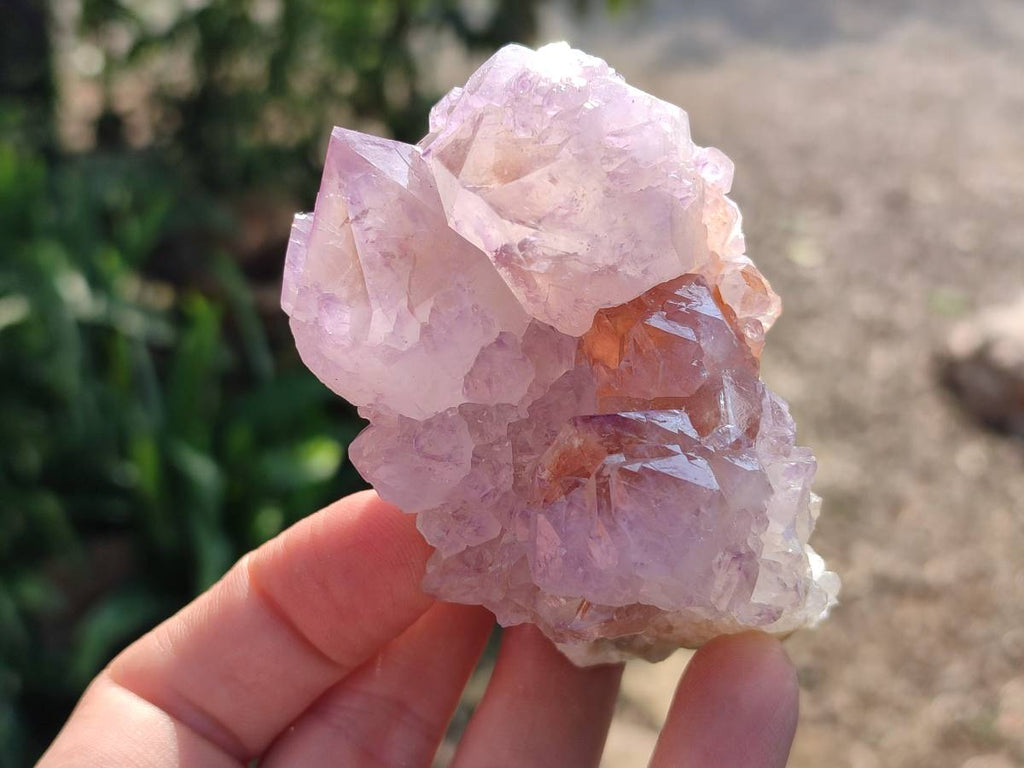 Natural Amethyst Spirit Quartz Clusters x 12 From Boekenhouthoek, South Africa - Toprock Gemstones and Minerals 