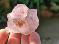 Natural Amethyst Spirit Quartz Clusters x 12 From Boekenhouthoek, South Africa