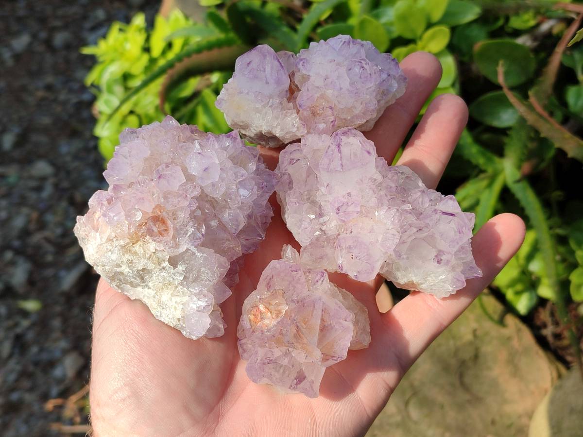 Natural Amethyst Spirit Quartz Clusters x 12 From Boekenhouthoek, South Africa - Toprock Gemstones and Minerals 