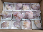 Natural Amethyst Spirit Quartz Clusters x 12 From Boekenhouthoek, South Africa - Toprock Gemstones and Minerals 