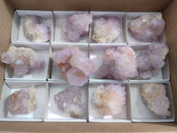 Natural Amethyst Spirit Quartz Clusters x 12 From Boekenhouthoek, South Africa