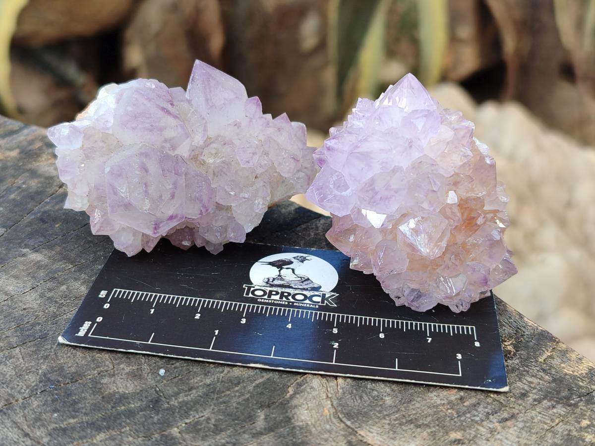 Natural Amethyst Spirit Quartz Clusters x 12 From Boekenhouthoek, South Africa - Toprock Gemstones and Minerals 