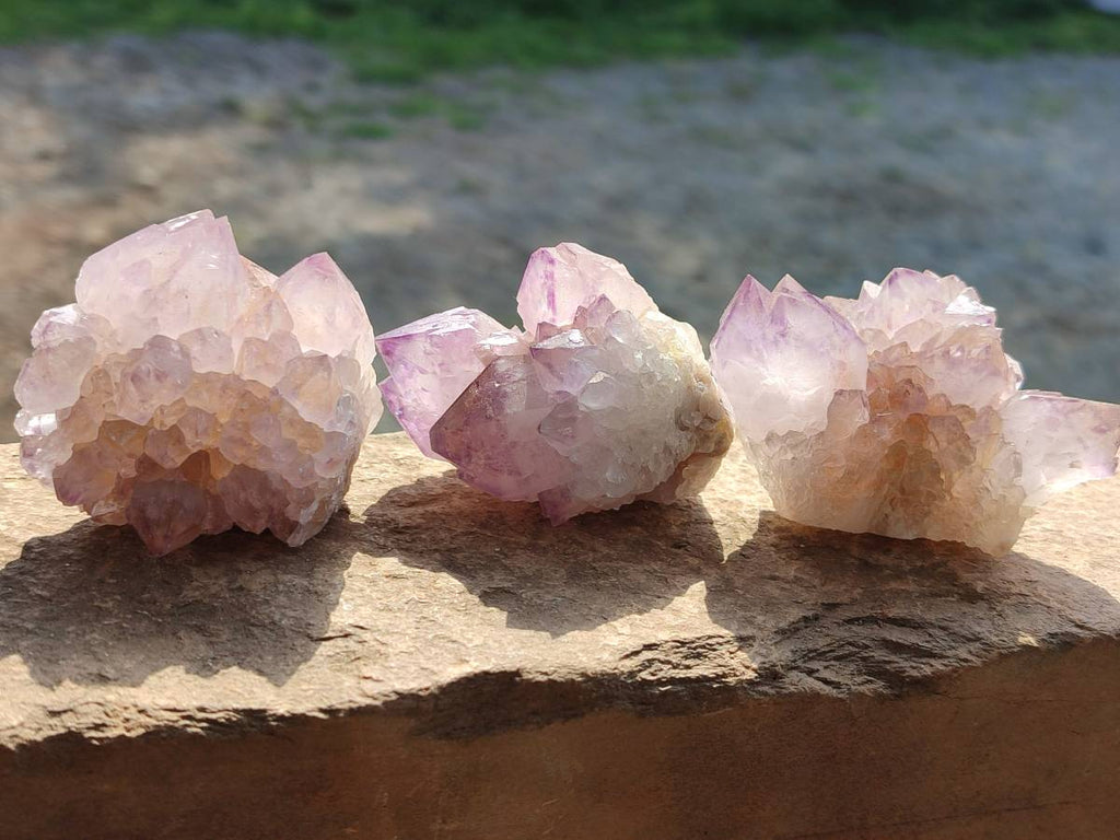 Natural Amethyst Spirit Quartz Clusters x 12 From Boekenhouthoek, South Africa - Toprock Gemstones and Minerals 