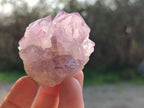Natural Amethyst Spirit Quartz Clusters x 12 From Boekenhouthoek, South Africa - Toprock Gemstones and Minerals 