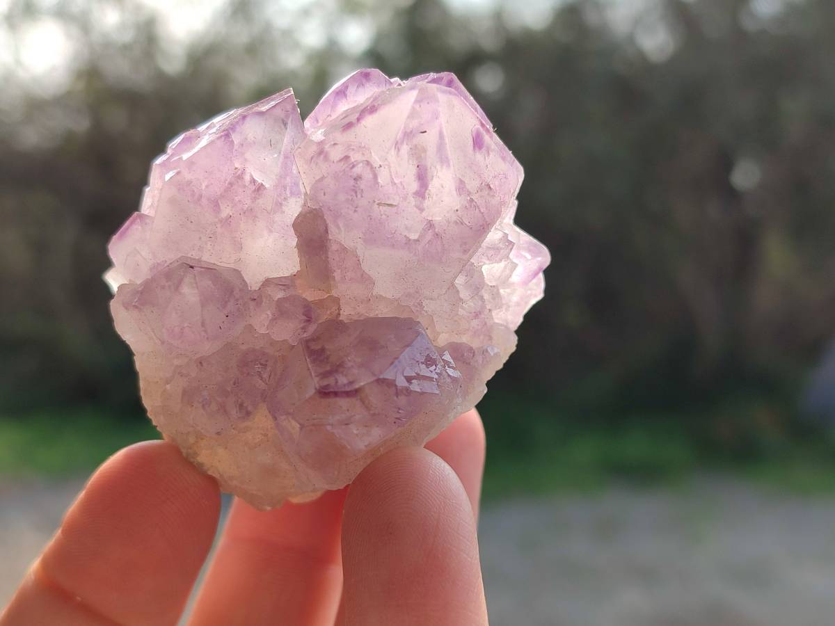 Natural Amethyst Spirit Quartz Clusters x 12 From Boekenhouthoek, South Africa - Toprock Gemstones and Minerals 