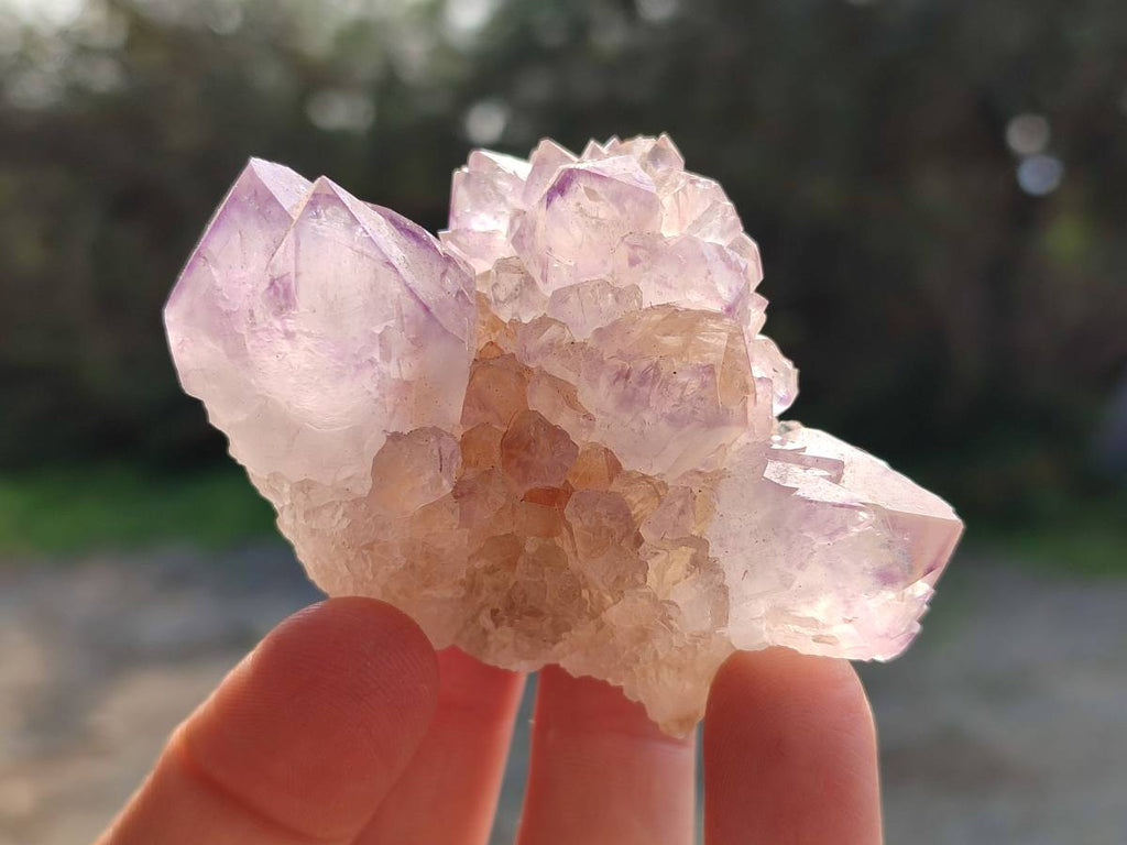 Natural Amethyst Spirit Quartz Clusters x 12 From Boekenhouthoek, South Africa - Toprock Gemstones and Minerals 