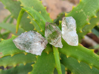 Natural Smokey Quartz Crystals x 45 From Brandberg, Namibia