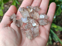 Natural Smokey Quartz Crystals x 45 From Brandberg, Namibia
