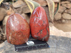 Polished Red Jasper Standing Free Forms x 4 From Madagascar - Toprock Gemstones and Minerals 