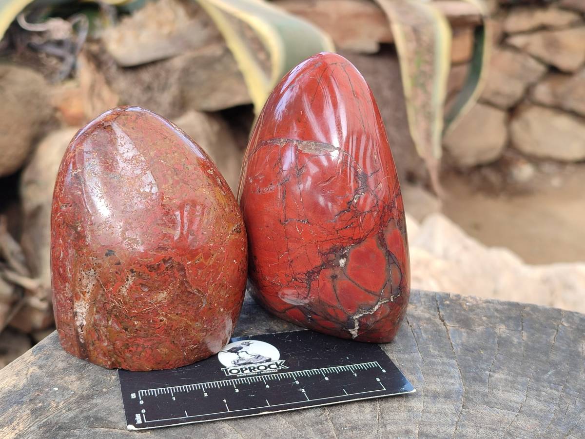 Polished Red Jasper Standing Free Forms x 4 From Madagascar - Toprock Gemstones and Minerals 