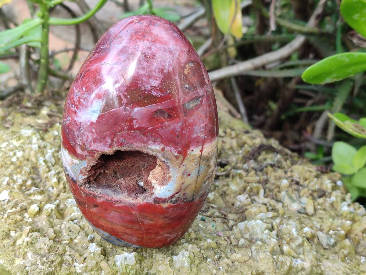 Polished Red Jasper Standing Free Forms x 4 From Madagascar - Toprock Gemstones and Minerals 