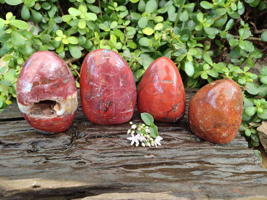 Polished Red Jasper Standing Free Forms x 4 From Madagascar - Toprock Gemstones and Minerals 