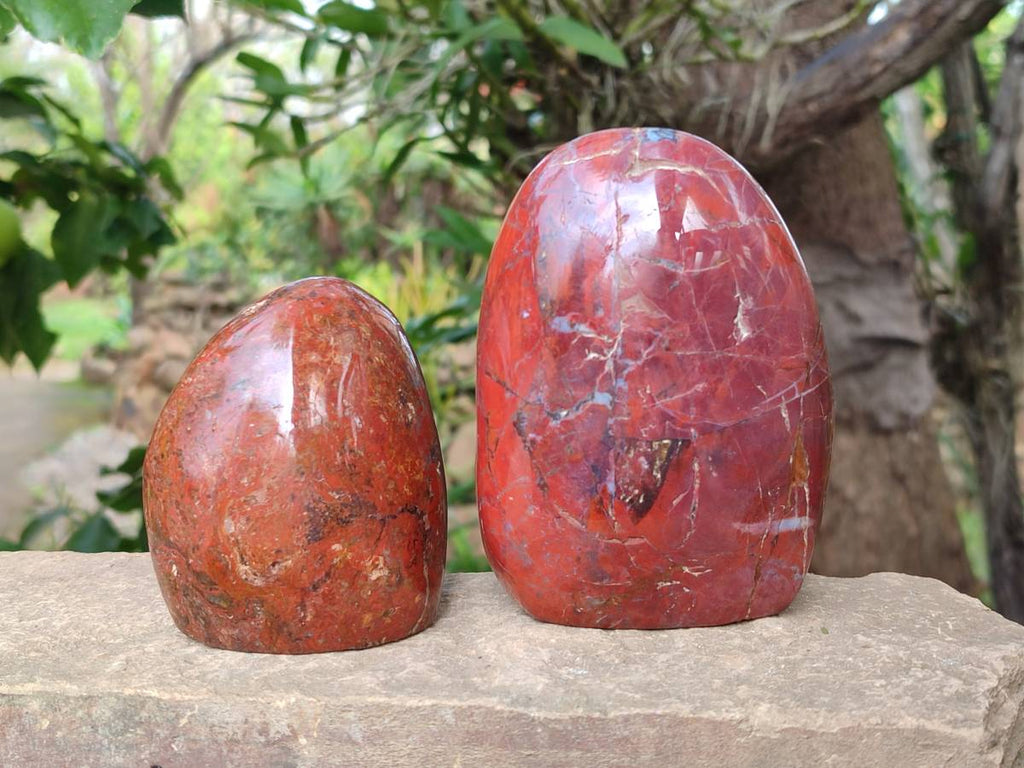 Polished Red Jasper Standing Free Forms x 4 From Madagascar - Toprock Gemstones and Minerals 