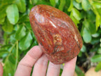 Polished Red Jasper Standing Free Forms x 4 From Madagascar - Toprock Gemstones and Minerals 