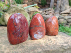 Polished Red Jasper Standing Free Forms x 4 From Madagascar - Toprock Gemstones and Minerals 