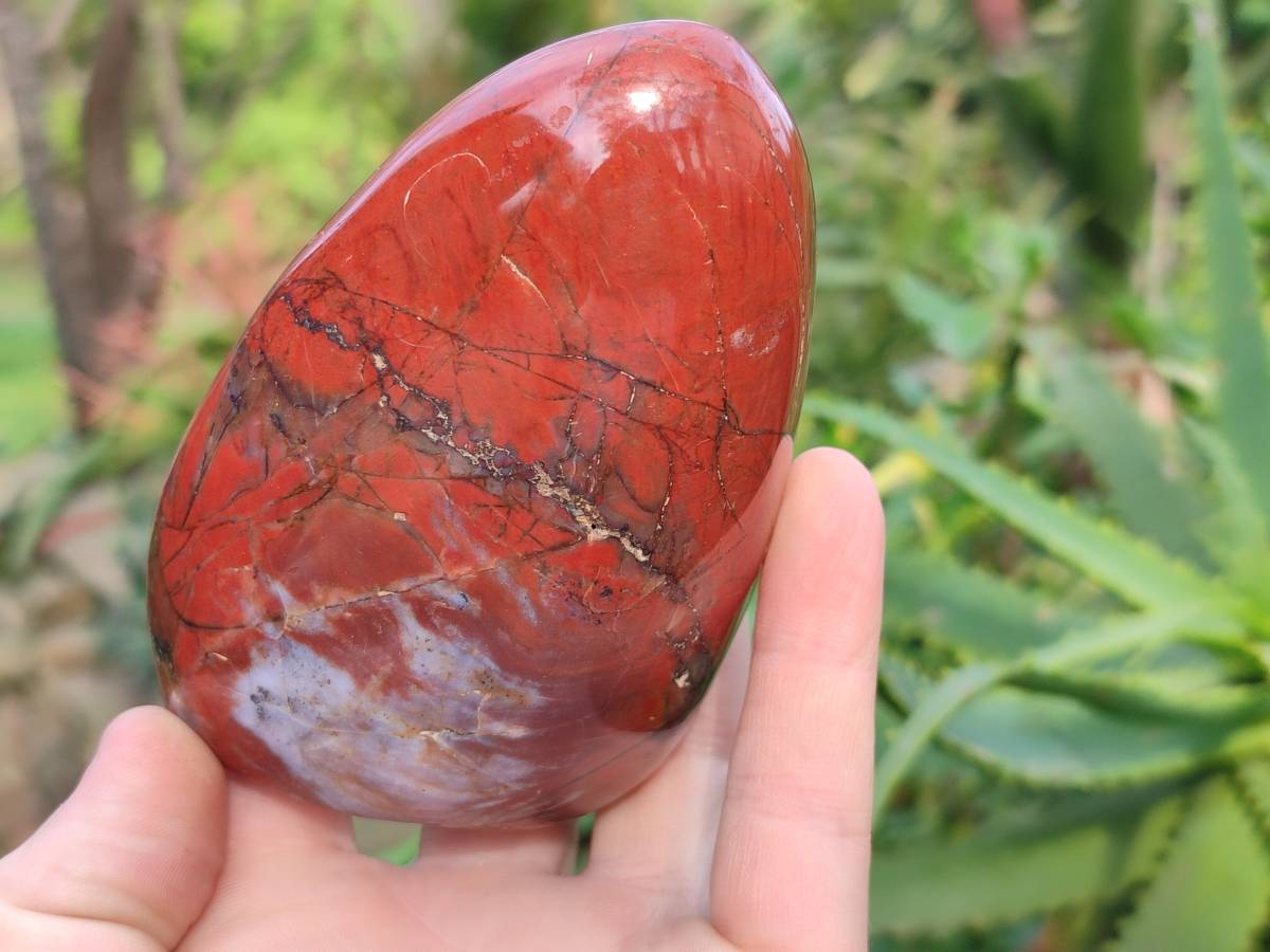 Polished Red Jasper Standing Free Forms x 4 From Madagascar - Toprock Gemstones and Minerals 