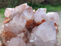 Natural Ametrine Spirit Quartz Clusters x 2 From Boekenhouthoek, South Africa