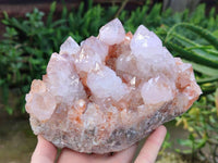 Natural Ametrine Spirit Quartz Clusters x 2 From Boekenhouthoek, South Africa