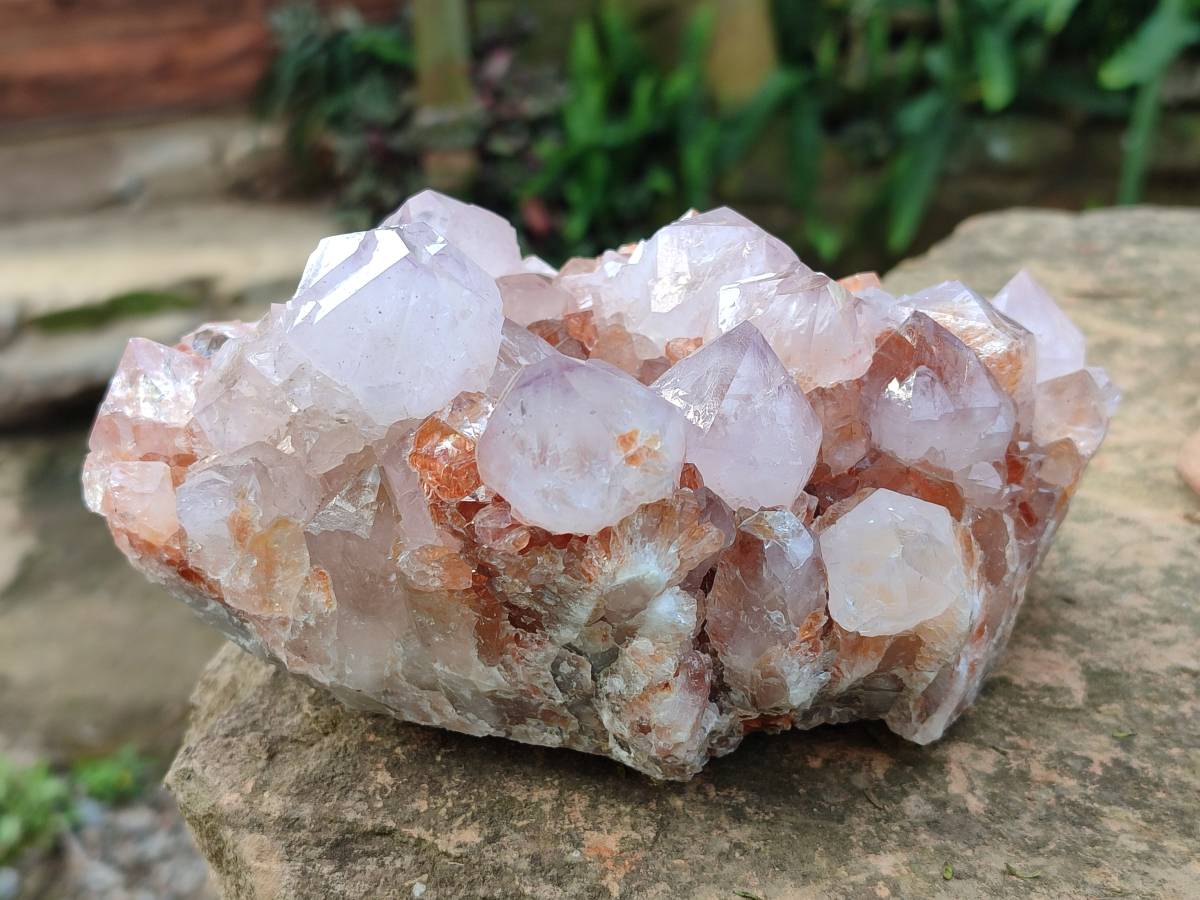 Natural Ametrine Spirit Quartz Clusters x 2 From Boekenhouthoek, South Africa - Toprock Gemstones and Minerals 