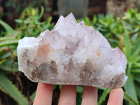 Natural Ametrine Spirit Quartz Clusters x 2 From Boekenhouthoek, South Africa