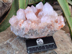 Natural Ametrine Spirit Quartz Clusters x 2 From Boekenhouthoek, South Africa - Toprock Gemstones and Minerals 