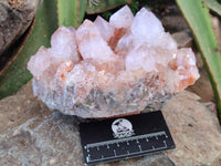Natural Ametrine Spirit Quartz Clusters x 2 From Boekenhouthoek, South Africa