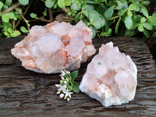 Natural Ametrine Spirit Quartz Clusters x 2 From Boekenhouthoek, South Africa