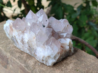 Natural Ametrine Spirit Quartz Clusters x 2 From Boekenhouthoek, South Africa