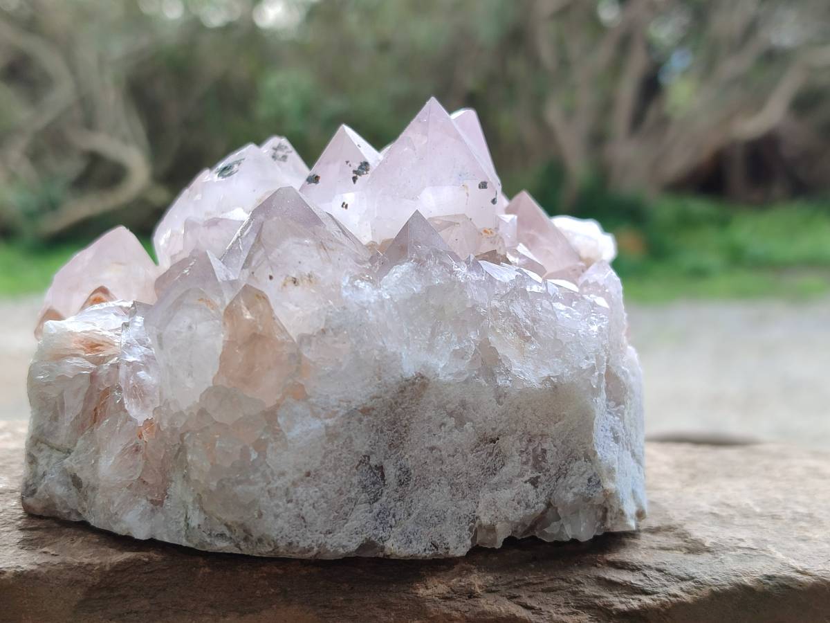 Natural Ametrine Spirit Quartz Clusters x 2 From Boekenhouthoek, South Africa - Toprock Gemstones and Minerals 
